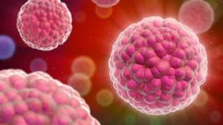 Βρετανοί ερευνητές υποστηρίζουν ότι ανακάλυψαν ένα φάρμακο που μπορεί να καταπολεμήσει όλες τις μορφές καρκίνου