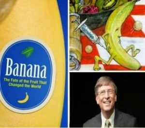 «Μεταλλαγμένες» μπανάνες κατά της τύφλωσης χρηματοδοτεί ο Μπιλ Γκέιτς