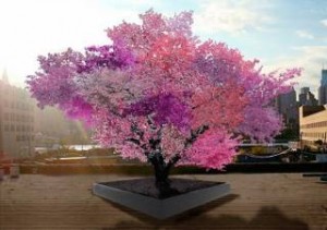 Παράξενο δέντρο παράγει 40 διαφορετικά φρούτα! (εικονες)