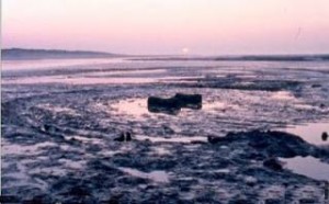  Seahenge: Βρέθηκε το αδελφάκι του Στόουνχετζ στη θάλασσα!