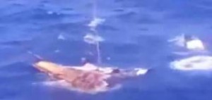 Βίντεο σοκ: Ναυτικοί πυροβολούν για ...πλάκα ναυαγούς ψαράδες!