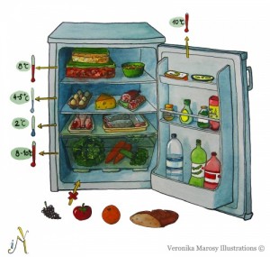 Κόπηκε το ρεύμα; Χρήσιμα tips για τα τρόφιμα στο ψυγείο