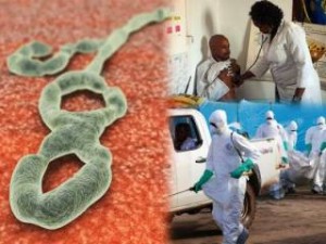 Σε συναγερμό βρίσκονται οι υγειονομικές υπηρεσίες της χώρας - Ο τρόμος του Έμπολα προ των πυλών