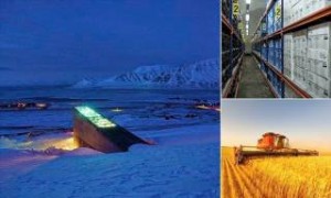 Εμπλουτίζεται το θησαυροφυλάκιο σπόρων στην Αρκτική για τη διασφάλιση της ανθρωπότητας