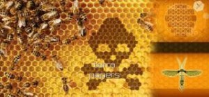 Οι Θάνατοι των Μελισσών και το Τέλος της Ζωής στον Πλανήτη 