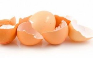 Μην πετάτε τα τσόφλια των αυγών! Δείτε τι μπορείτε να κάνετε με αυτά 
