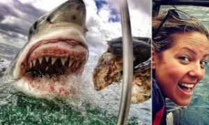 Οι εκπληκτικές φωτογραφίες 25χρονης δασκάλας με τα σαγόνια μεγάλου λευκού καρχαρία