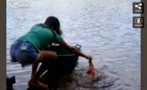 ΣΟΚ: ΔΕΙΤΕ πως Ψαρεύουν ΠΙΡΑΝΧΑΣ στη Βραζιλία! (βίντεο)