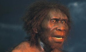 Homo erectus: Ο κατακτητής της Γης