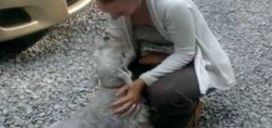 Σκύλος λιποθύμησε από την χαρά του όταν μέλος της οικογένειας επέστρεψε μετά από χρόνια [βίντεο]