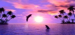 Ψαράδες σώζουν μικρό δελφίνι και εκείνο τους ευχαριστεί [συγκινητικό βίντεο]
