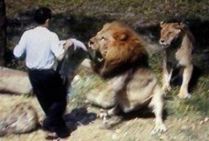 Σοκαριστικό ΒΙΝΤΕΟ! Όταν τα ζώα θυμώνουν και επιτίθενται! (ΠΡΟΣΟΧΗ Σκληρές Εικόνες)