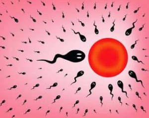 Τι 20, τι 30, τι 40: Ποιες αλλαγές συμβαίνουν στα ωάρια και το σπέρμα