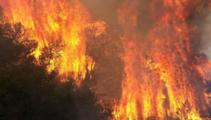 ΚΑΙΝΕ ΤΗΝ ΕΛΛΑΔΑ ΓΙΑ ΑΠΟΠΡΟΣΑΝΑΤΟΛΙΣΜΟ ΤΟΥ ΚΟΣΜΟΥ (εικόνες δορυφόρου)