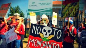 Εξαίρεση ζήτησε η Ελλάδα από τη Monsanto για τα μεταλλαγμένα