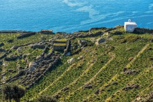 ΖΗΤΟΥΝΤΑΙ ΕΘΕΛΟΝΤΕΣ ΚΑΤΟΙΚΟΙ ΓΙΑ ΤΟ ΝΗΣΙ ΜΑΣ!!!