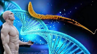 To DNA μας… δεν είναι 100% ανθρώπινο! Τι ανακάλυψαν οι επιστήμονες!