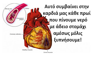 ΑΠΙΣΤΕΥΤΟ – ΔΕΙΤΕ τι παθαίνει το σώμα σας αν πίνετε με το που ξυπνάτε νερό – Θα το κάνετε ΣΥΝΗΘΕΙΑ! (BINTEO)