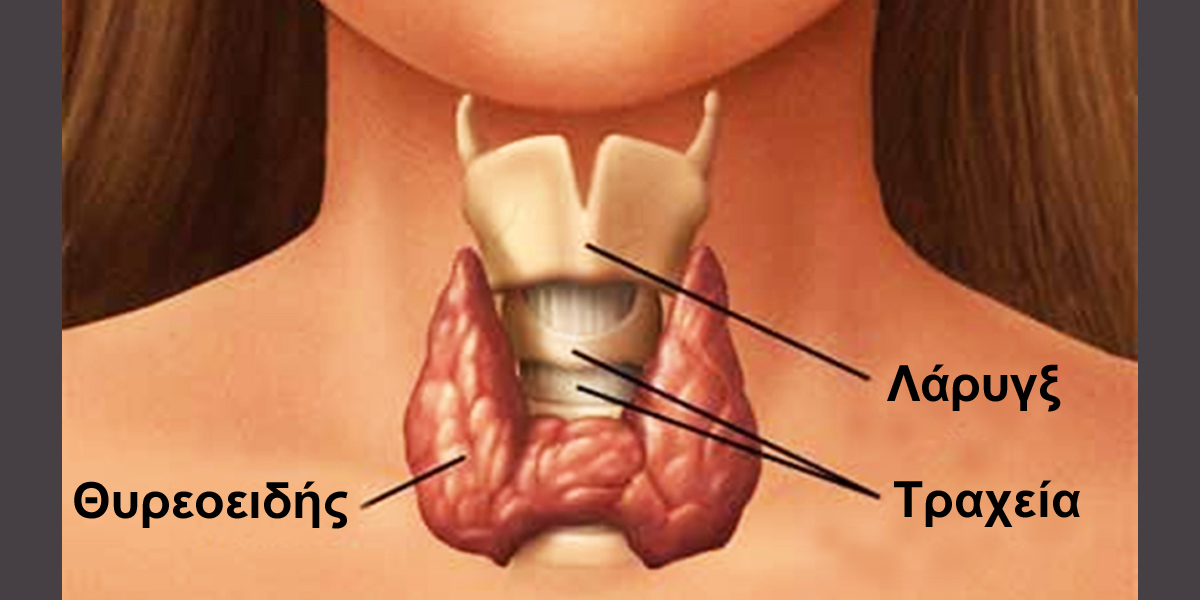Θυρεοειδής: Προσοχή στα συμπτώματα που δείχνουν νόσο Χασιμότο