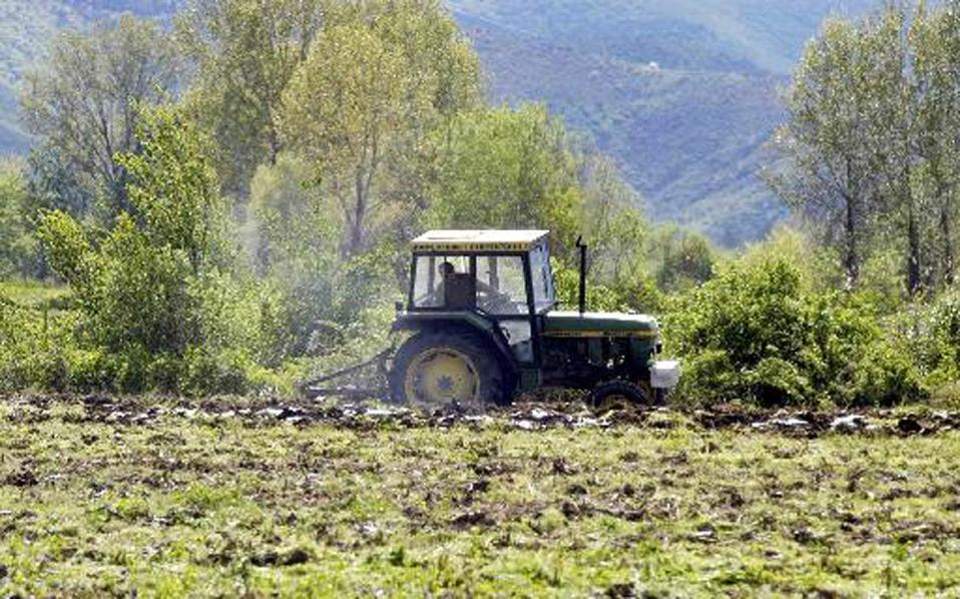 Αύριο η πληρωμή 2,4 εκατ. ευρώ σε 871 δικαιούχους από τον ΕΛΓΑ